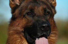 V Veneze Raul Lundborg Land