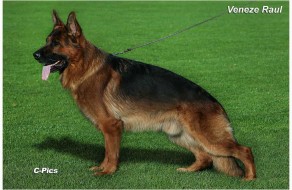 V Veneze Raul Lundborg Land