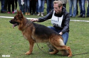 V Veneze Raul Lundborg Land