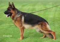 Hyro vom Haus an der Schiene