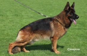 Lucka von Buchenland