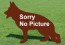 1-sorry_no_picture