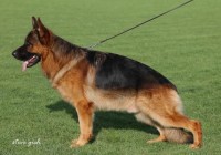 Ken vom Team Baierblick