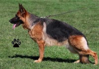 Blanka Dell’ Archeotipo