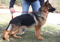 Rondo vom Haus Röhner