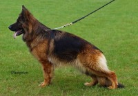 Ang Von Blasius-haus