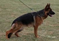 Lira vom Klostermoor