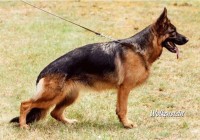 Winni vom Hauswalder Bach