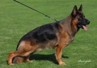 Spencer-di-Casa-Massarelli