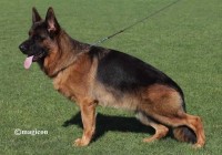 Mondo-di-Casa-Palomba