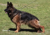 Prada-vom-Legends-Team