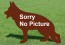 1-sorry_no_picture