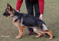 Carlotta-vom-Messebau