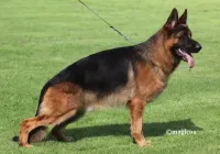 Fire-vom-Finkenschlag