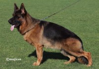 Mondo-di-Casa-Palomba