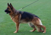 Heidi-vom-Lundborg-Land