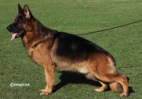 Rico-du-Val-DAnzin-1-1