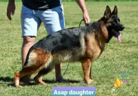 Carerra-de-la-Madonina