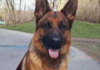 Skylee-aus-Mecklenburg