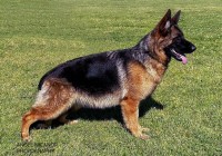 fly-von-der-kriegerstadt-1